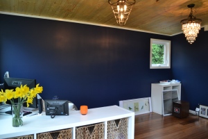 His and Hers Modern-Sheds