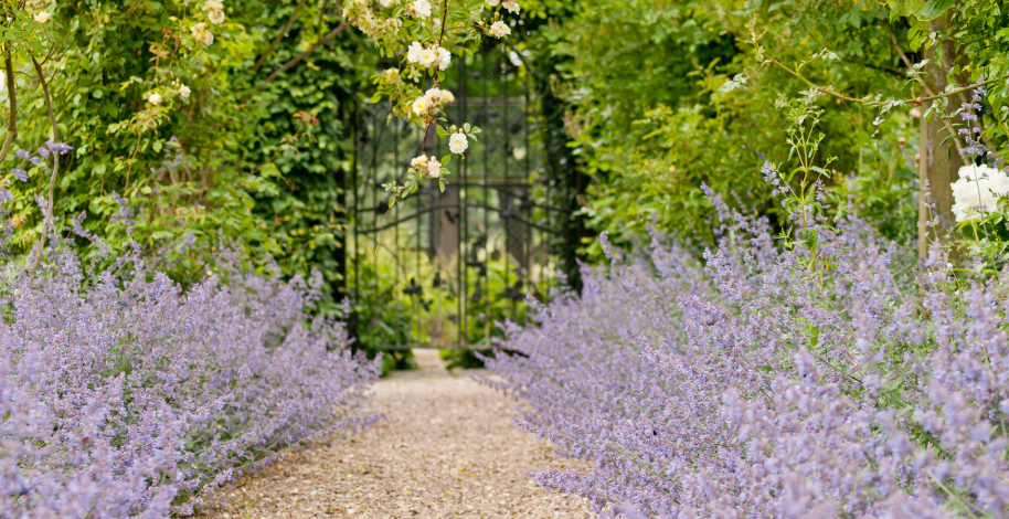 Transform Your Outdoor Oasis: The Art of Sustainable Landscaping with Modern Shed