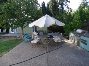 The Backyard Gym