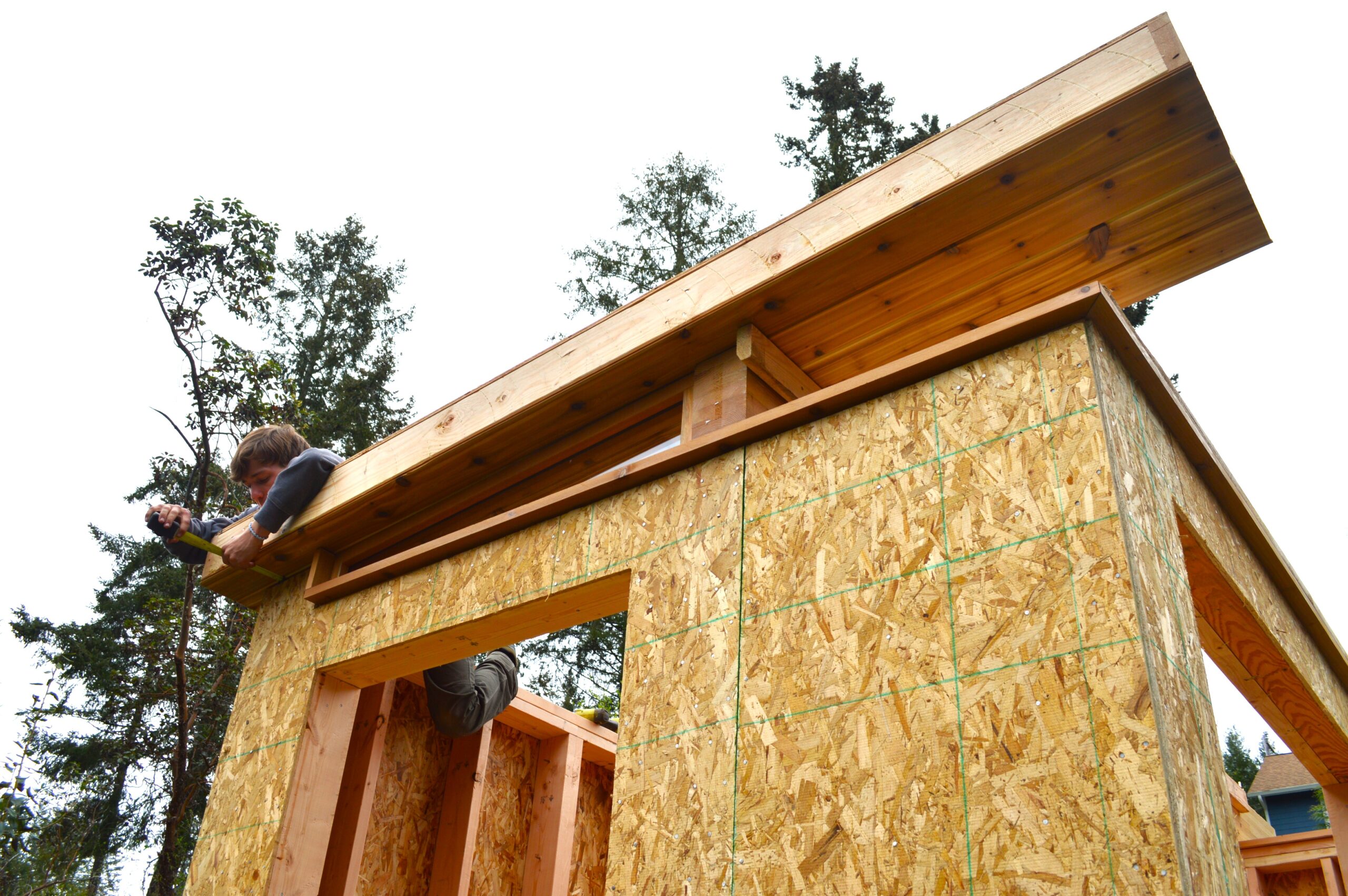 Shed Process